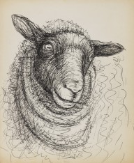 Henry Moore-Ohne Titel (Kopf eines Schafes). Um 1972.