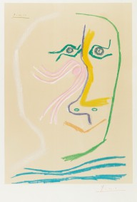 Klassische Moderne - Pablo Picasso-63502_14