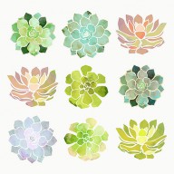 spring-succulents