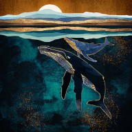 25380848 moonlit-whales-spacefrog-designs