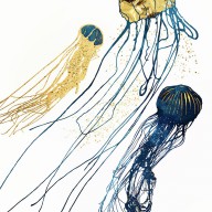 metallic-jellyfish-ii-spacefrog-designs