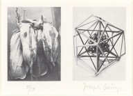 Joseph Beuys-From  Rheinische Bienenzeitung  1975