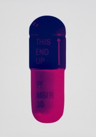 Damien Hirst-The Cure - Ice Pink Mauve Raspberry  2014