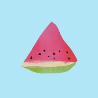 18597832 watermelon-jacquie-gouveia