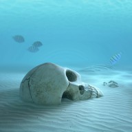 11206672 skull-on-sandy-ocean-bottom-johan-swanepoel