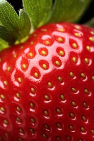 11207824 fresh-strawberry-close-up-johan-swanepoel