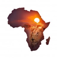 11388763 african-wildlife-map-johan-swanepoel