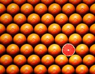 11389839 grapefruit-slice-between-group-johan-swanepoel