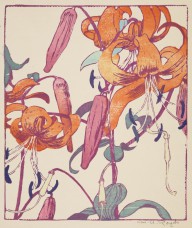 Tiger Lilies-Mabel Royds