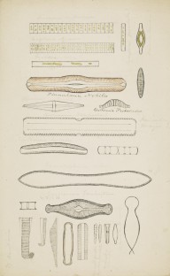 175893------Botanical Drawings, Fossil Algae_Mungo Ponton