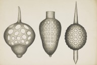 175917------Biological Drawings, Assorted Radiolarians_Mungo Ponton