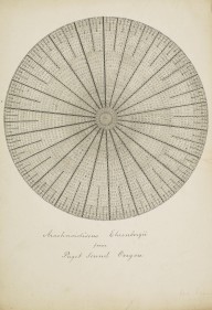 175938------Biological Drawings, Arachnoidiscus Ehrenbergii, from the Puget Sound, Oregon_Mungo Pont