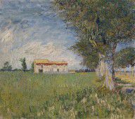 Yhfz_Van-Gogh-498