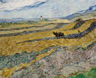 Yhfz_Van-Gogh-4921