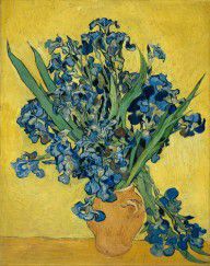 Yhfz_Van-Gogh-4936