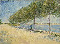Yhfz_Van-Gogh-4938