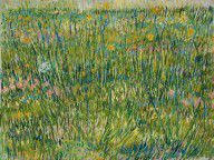 Yhfz_Van-Gogh-4947