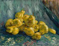 Yhfz_Van-Gogh-4963