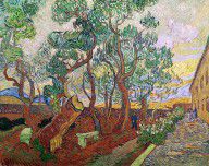 9383786_The_Garden_Of_St_Pauls_Hospital_At_St._Remy