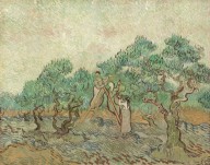 The Olive Orchard-ZYGR46627