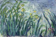 13378617_Yellow_And_Purple_Irises,_1924-25_See_Detail_414407_Oil_On_Canvas