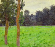 17872750 two-trees-in-a-field-claude-monet