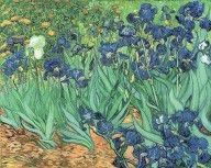 Gogh, Vincent van Irises