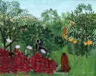 Tropical Forest with Monkeys-ZYGR61253