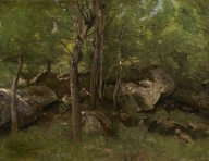 Rocks in the Forest of Fontainebleau-ZYGR46585