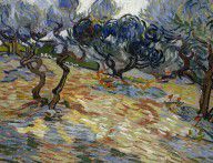 Vincent van Gogh Olive Trees 