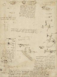 8159426-Leonardo Da Vinci