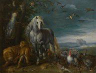Jan van Kessel I - Noah's Ark
