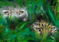 15243865 jungle-eyes-leopards-carol-cavalaris