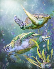 15985017 sea-turtles-ancient-travelers-carol-cavalaris