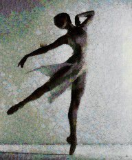 15728077_The_Fine_Balance_-_Ballerina