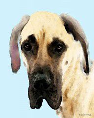 5762059_Fawn_Great_Dane_Dog_Art_Painting