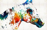 12920509_Colorful_Horse_Art_-_Wild_Paint_-_By_Sharon_Cummings