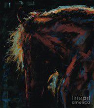 2676781_The_Dark_Horse