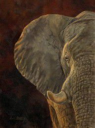 6684550_African_Elephant