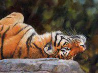 6698722_Resting_Tiger_Painting
