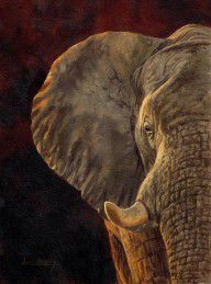 10445210_African_Elephant