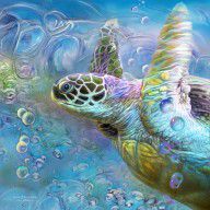 15932489_Sea_Turtle_-_Spirit_Of_Serendipity