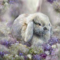 14541135_Bunny_In_Easter_Lilacs
