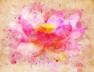 9870944_Pink_Lotus_Flower_Abstract_Artwork