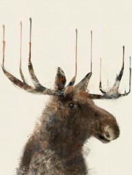 17018383_The_Moose