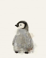 17019199_Little_Baby_Penguin