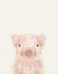 17026387_Little_Pig