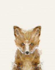 17133077_Little_Fox_Cub