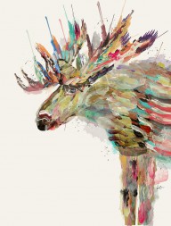 17736128_Into_The_Wild_The_Moose
