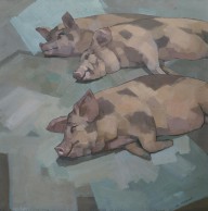 17753424_Sleeping_Pigs